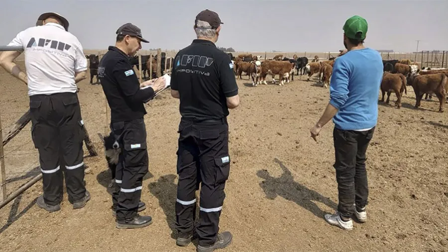 Los inspectores de la AFIP en el establecimiento rural en Concordia. Los inspectores de la AFIP en el establecimiento rural en Concordia.
