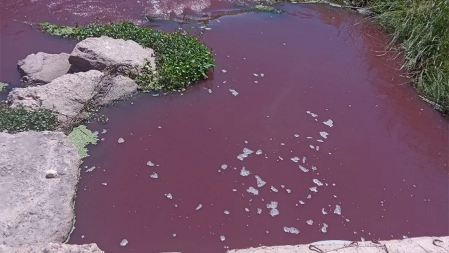 Imagen de archivo cuando el arroyo Espinillo apareció inundado de sangre por el volcado del Frigorífico Soychú. Imagen de archivo cuando el arroyo Espinillo apareció inundado de sangre por el volcado del Frigorífico Soychú.