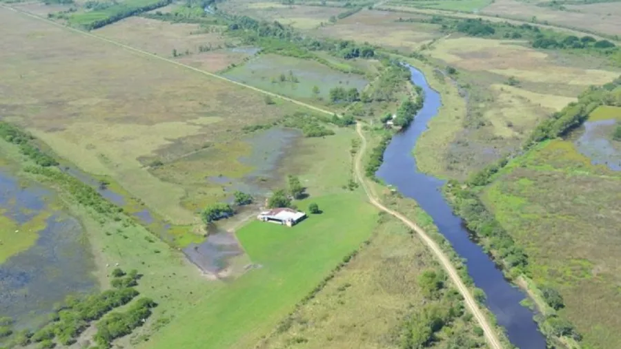 Delta