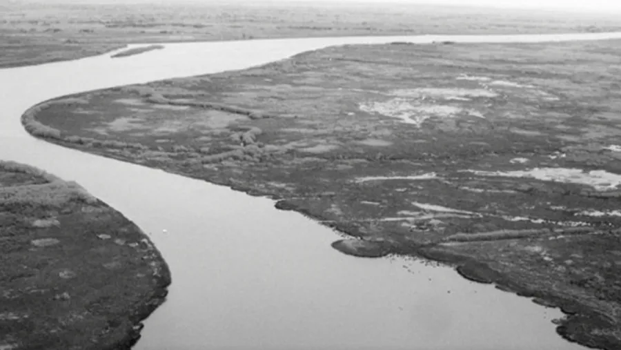 Delta
