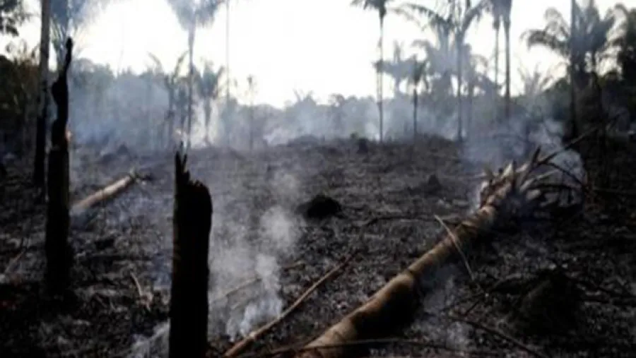 incendio Amazonas
