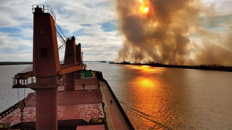 “La mortalidad es casi total, sobre todo de reptiles, anfibios y mamíferos”, indicó Ivo Peruggino, en relación a los incendios descontrolados en la zona de islas del Delta sobre el río Paraná.