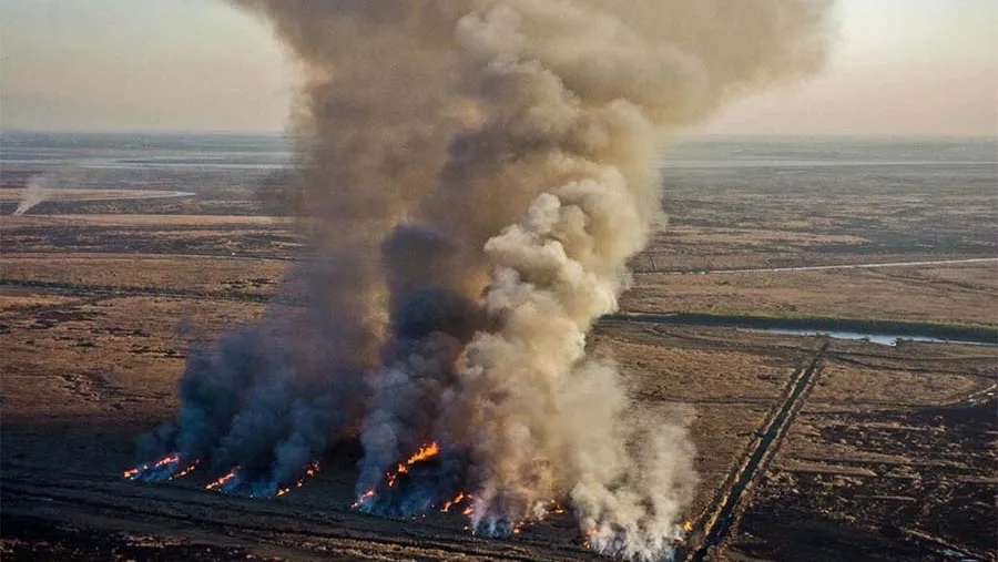 Legisladores nacionales buscan derogar la ley que evita la especulación inmobiliaria tras los incendios forestales. Quieren dar vía libres a la posibilidad de incendiar para vender. Legisladores nacionales buscan derogar la ley que evita la especulación inmobiliaria tras los incendios forestales. Quieren dar vía libres a la posibilidad de incendiar para vender.