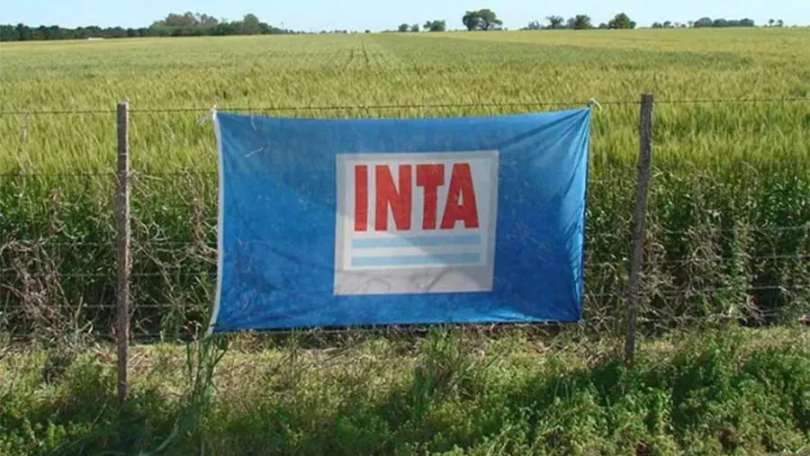 “Agroecología”, “cambio climático”, “biodiversidad”: las palabras prohibidas en el INTA. “Agroecología”, “cambio climático”, “biodiversidad”: las palabras prohibidas en el INTA.