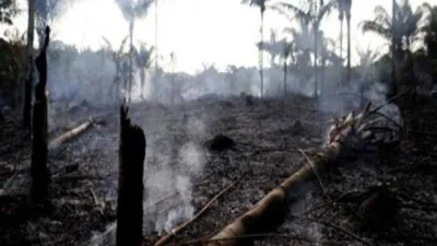 incendio Amazonas