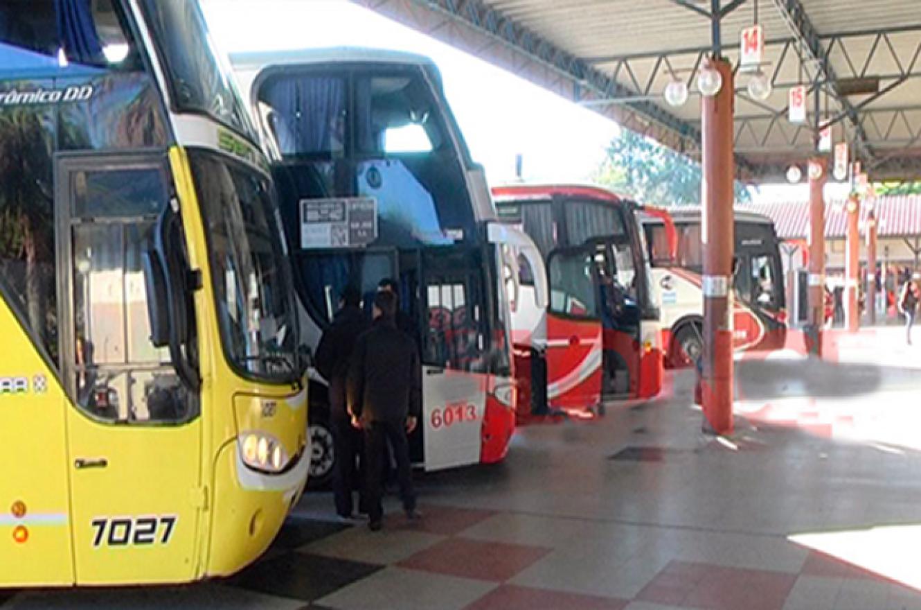 colectivos 