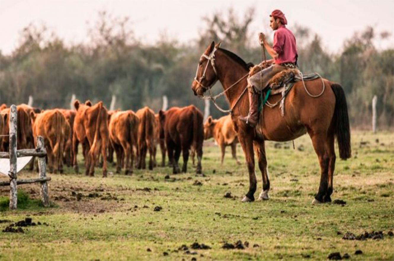 trabajadores rurales